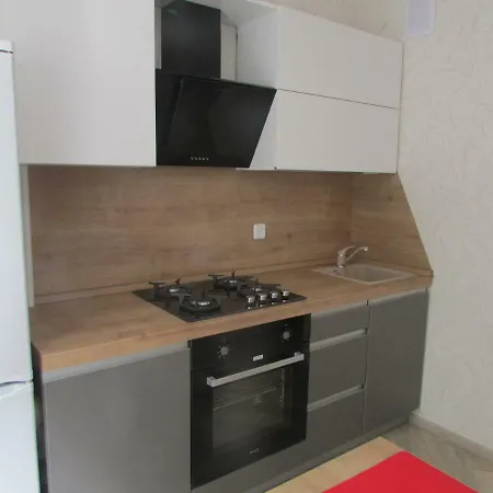 Apartment Двухкомнатная Квартира В Центре Minsk